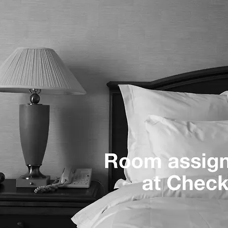 Napoli Belmar Resort Fort Lauderdale Room photo